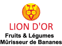 Logo-Liondor-sa Logo-Liondor-sa